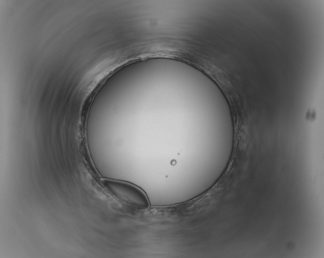 X0000111200338200907151419