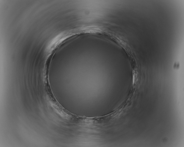 X0000111200339200907151419