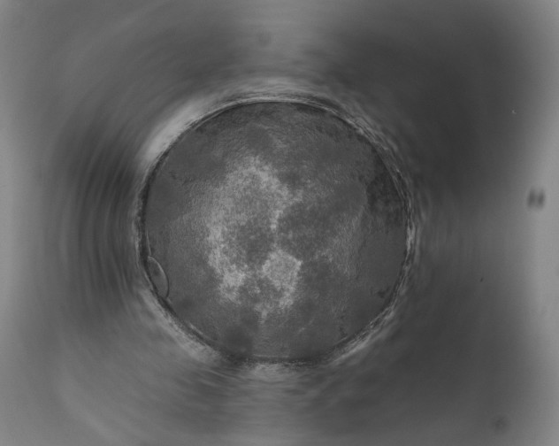 X0000111200341200907151419