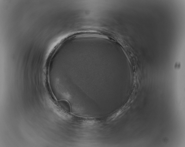 X0000111200342200907151419