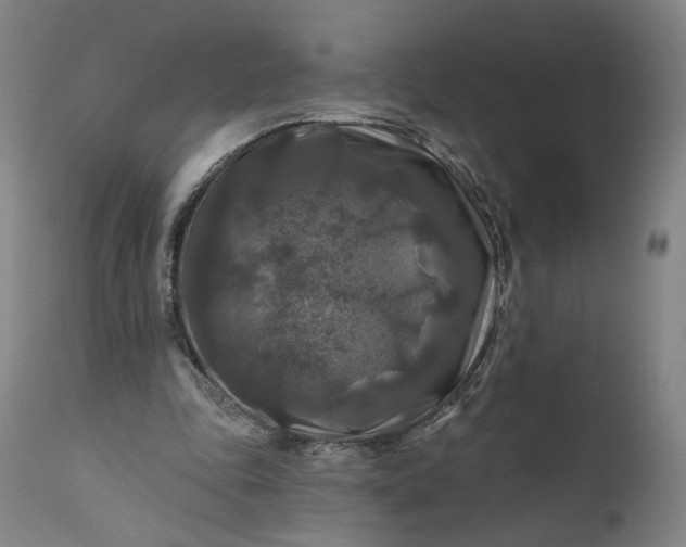 X0000111200343200907151419