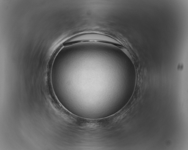 X0000111200344200907151419