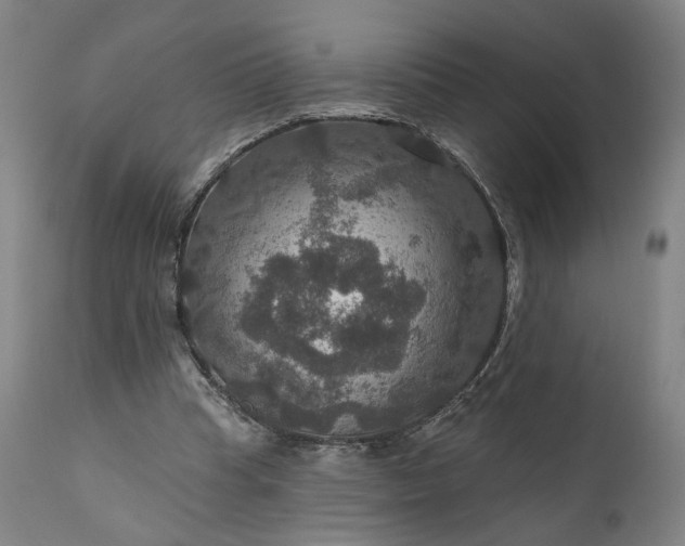 X0000111200345200907151419