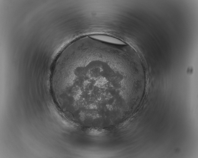 X0000111200346200907151419