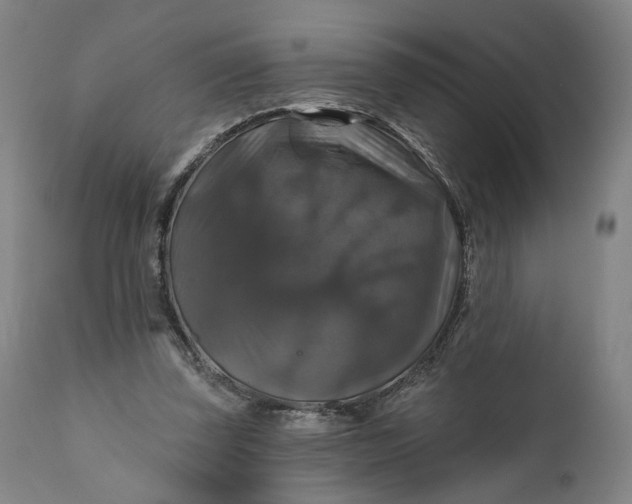 X0000111200347200907151419