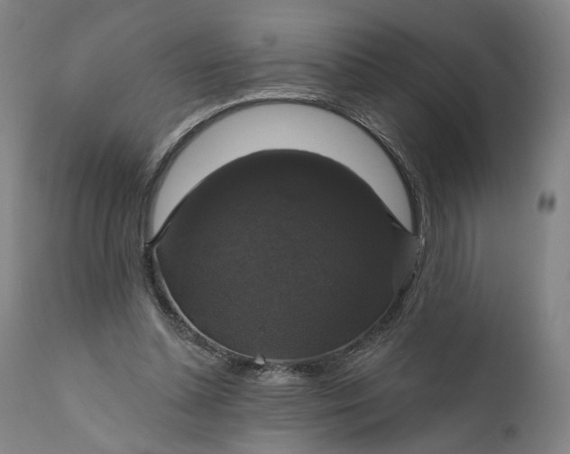 X0000111200348200907151419