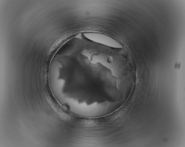 X0000111200349200907151419