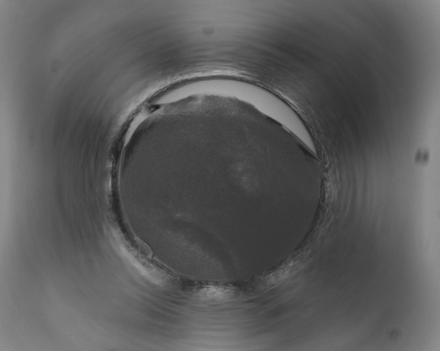 X0000111200350200907151419