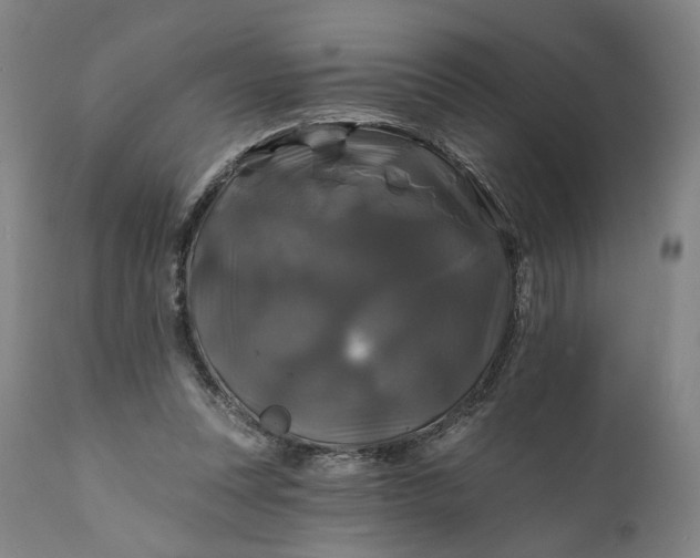 X0000111200351200907151419