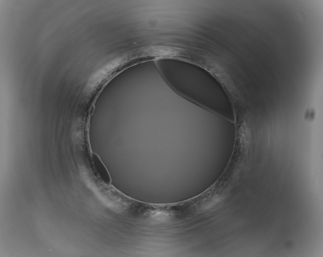 X0000111200352200907151419