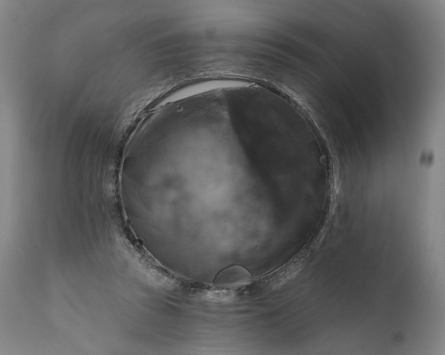 X0000111200353200907151419