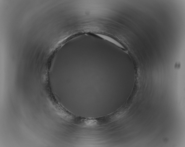 X0000111200355200907151419