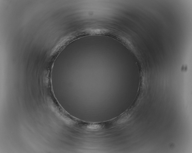 X0000111200357200907151419