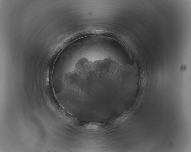 X0000111200358200907151419