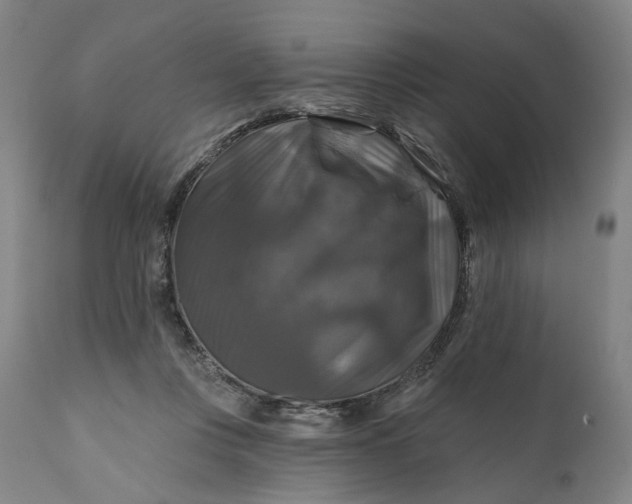 X0000111200359200907151419