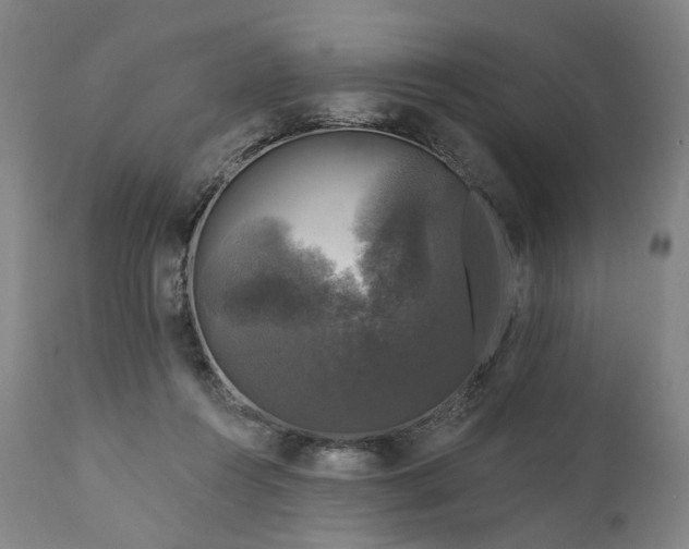 X0000111200360200907151419