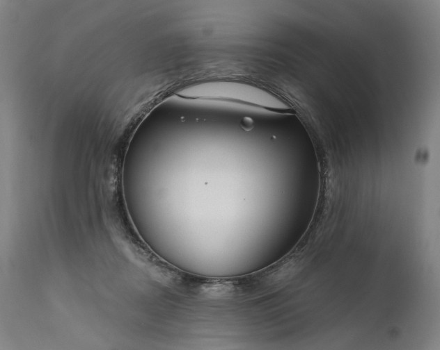 X0000111200362200907151419