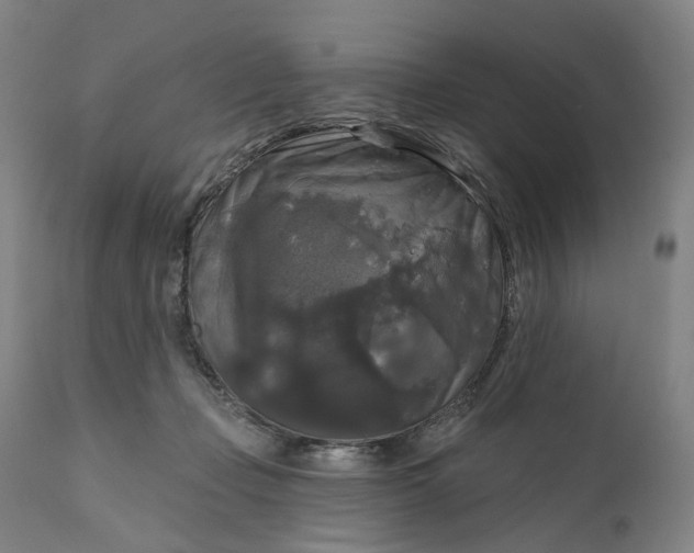 X0000111200365200907151419