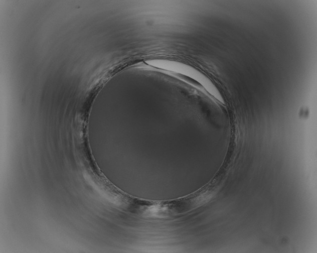 X0000111200366200907151419