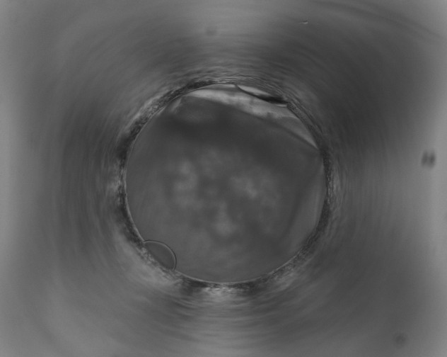 X0000111200367200907151419