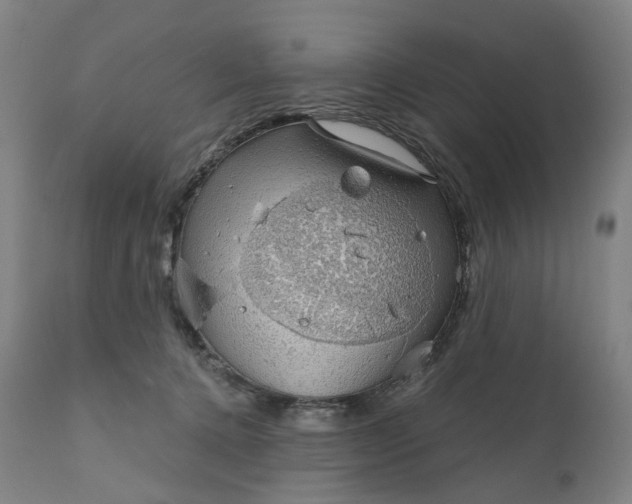 X0000111200368200907151419