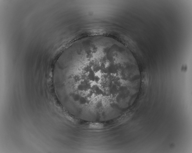 X0000111200369200907151419