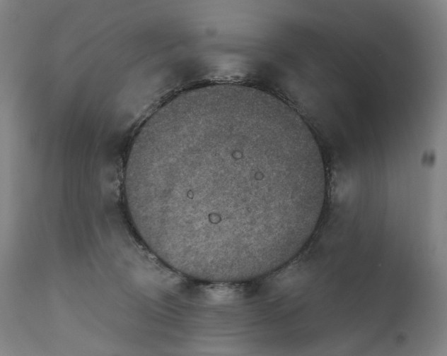 X0000111200370200907151419