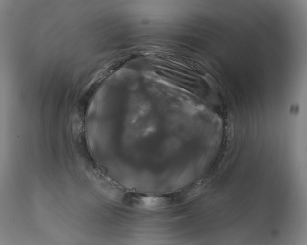 X0000111200371200907151419