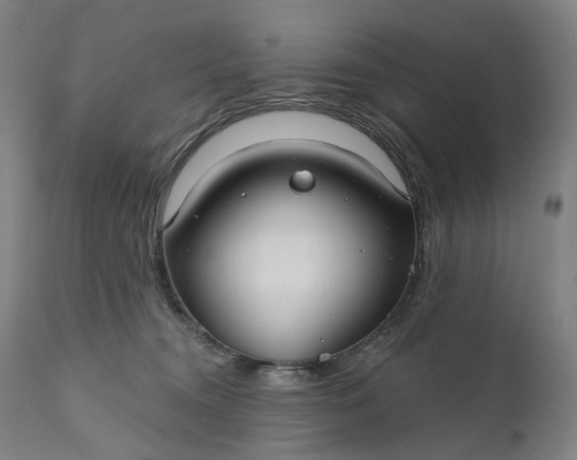 X0000111200372200907151419