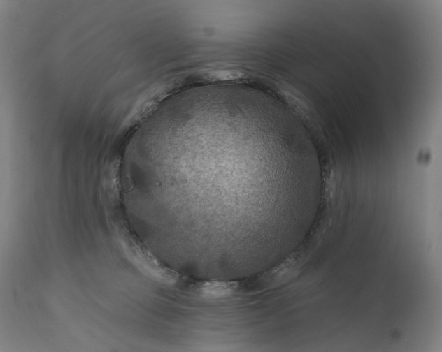 X0000111200373200907151419