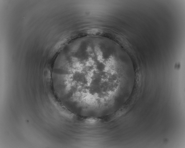 X0000111200375200907151419