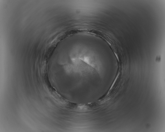 X0000111200376200907151419