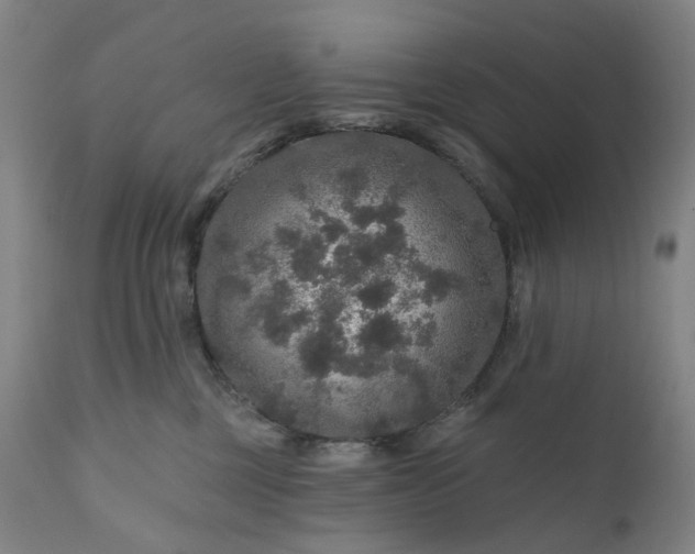 X0000111200377200907151419