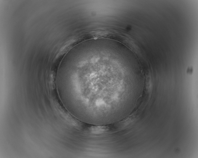 X0000111200378200907151419