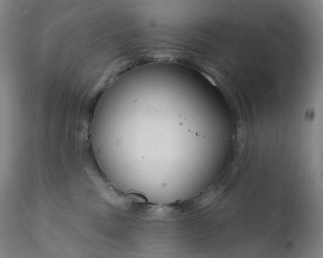 X0000111200379200907151419