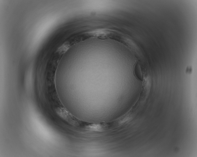 X0000111200381200907151419