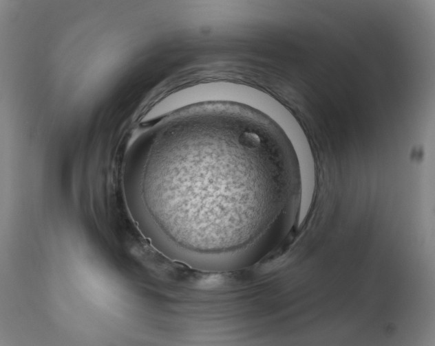 X0000111200382200907151419