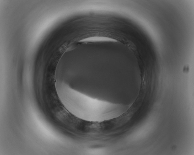 X0000111200383200907151420