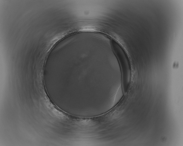 X0000111200385200907151419