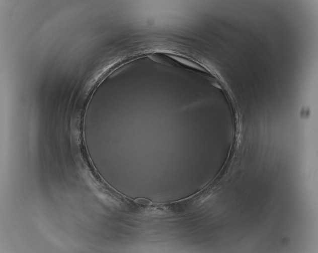 X0000111200386200907151419