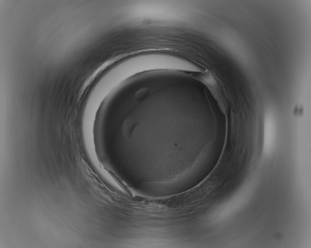 X0000111200387200907151419