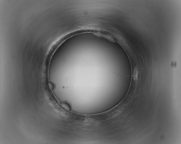 X0000111200388200907151419