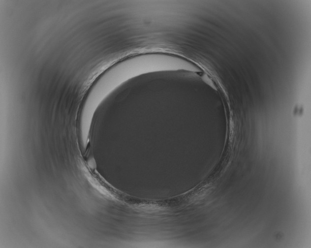 X0000111200389200907151419