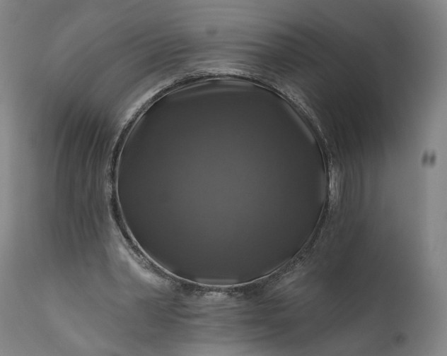 X0000111200390200907151419