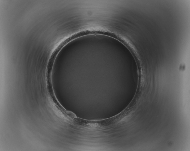 X0000111200391200907151419