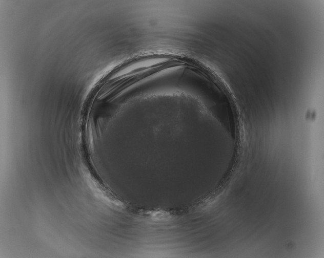 X0000111200395200907151419