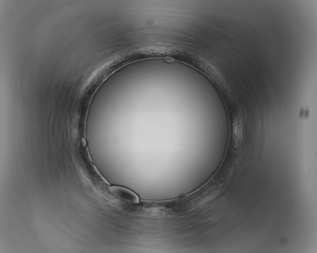 X0000111200396200907151419