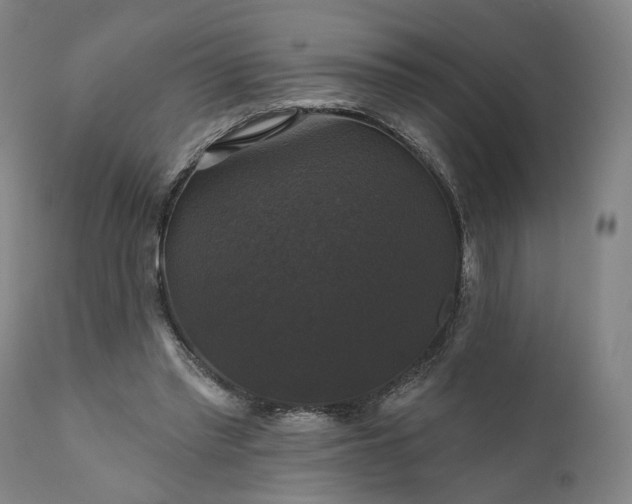 X0000111200397200907151419