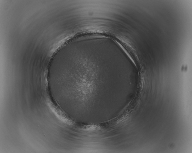 X0000111200398200907151419