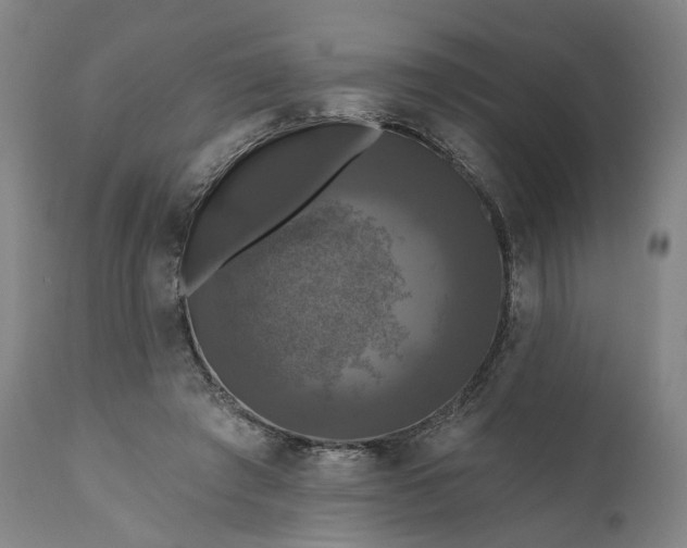 X0000111200401200907151419